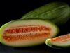 Дыня Карусель Бари Скопатиззо / Cucumis melo / Carosello Scopatizzo Barese melon