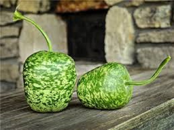 Лагенария Яблоко / Lagenaria siceraria Apple gourd