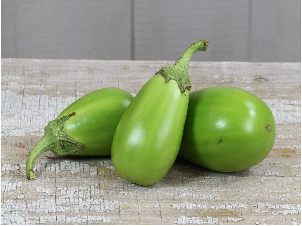 Баклажан Зелененький / Solanum melongena