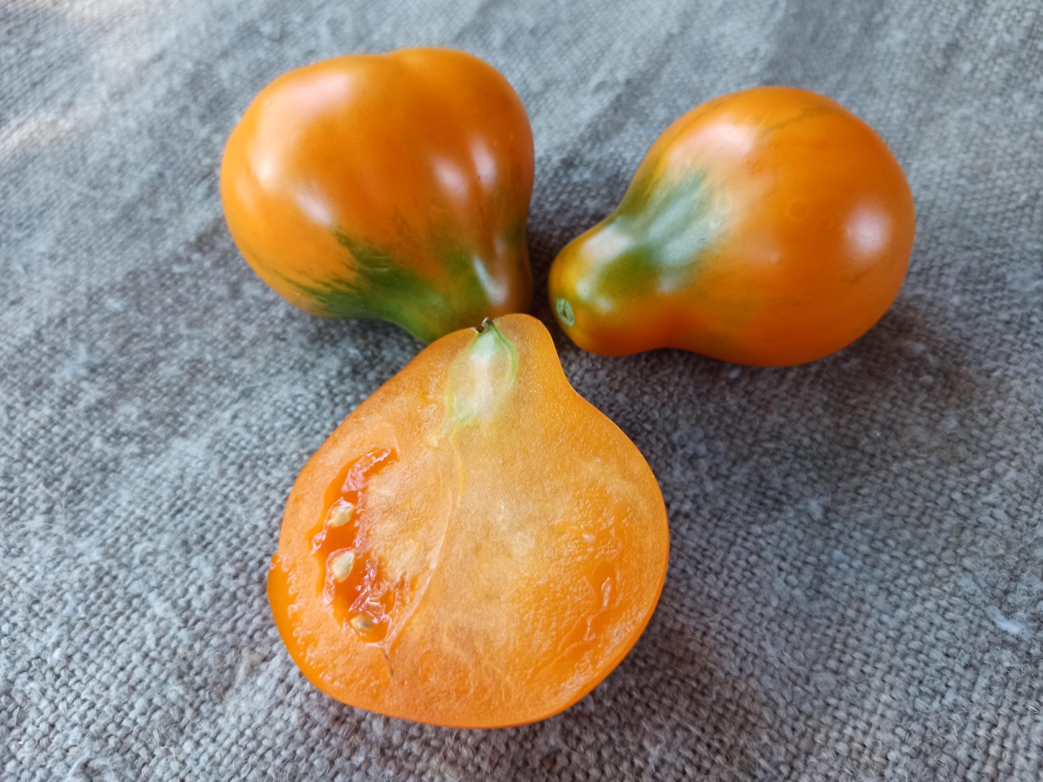 Редкие сорта томатов funny